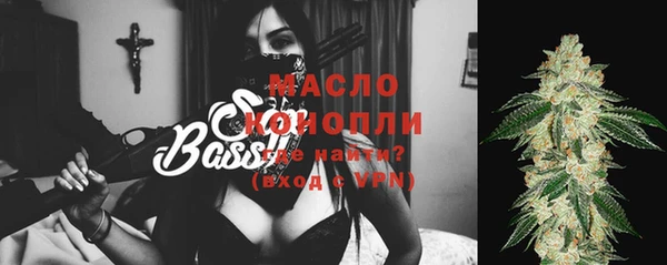 хмурый Инсар