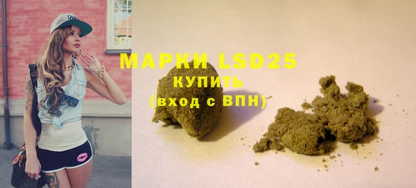 хмурый Инсар