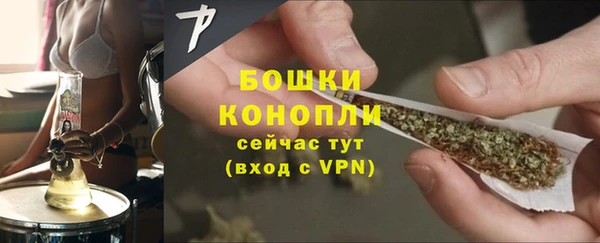 хмурый Инсар