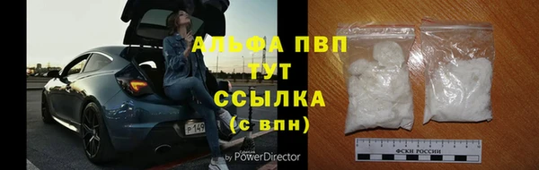 хмурый Инсар