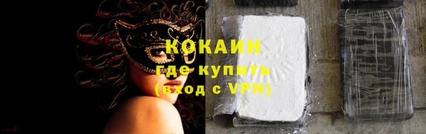 хмурый Инсар