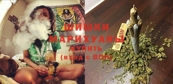 хмурый Инсар