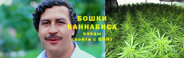 прущая мука Инта