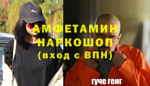хмурый Инсар