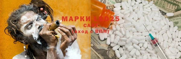 хмурый Инсар