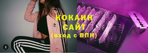 прущая мука Инта