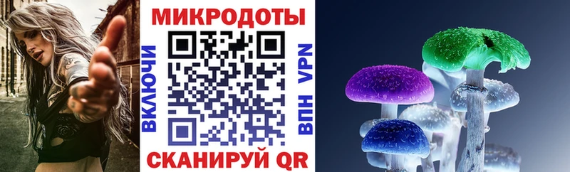 Купить Спас-Клепики Галлюциногенные грибы MAGIC MUSHROOMS